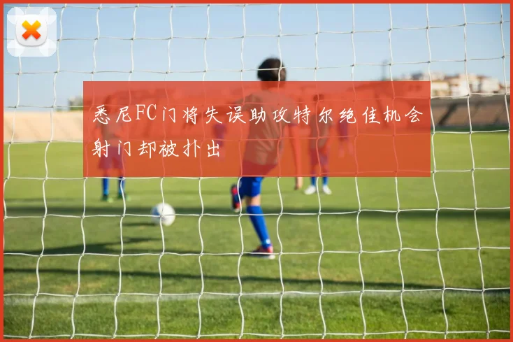 悉尼FC门将失误助攻特尔绝佳机会射门却被扑出