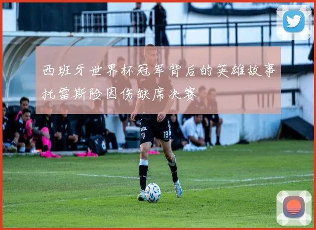 西班牙世界杯冠军背后的英雄故事托雷斯险因伤缺席决赛