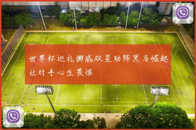 世界杯巡礼挪威双星助阵黑马崛起让对手心生畏惧